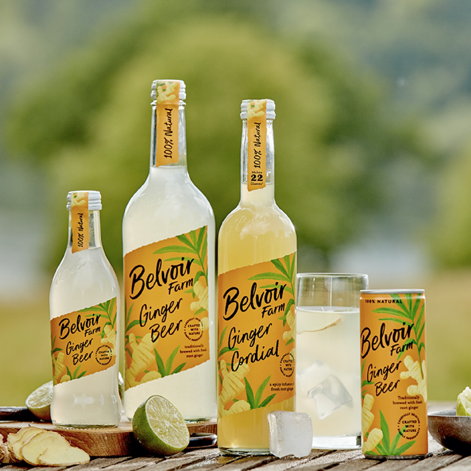 Belvoir Ginger Beer