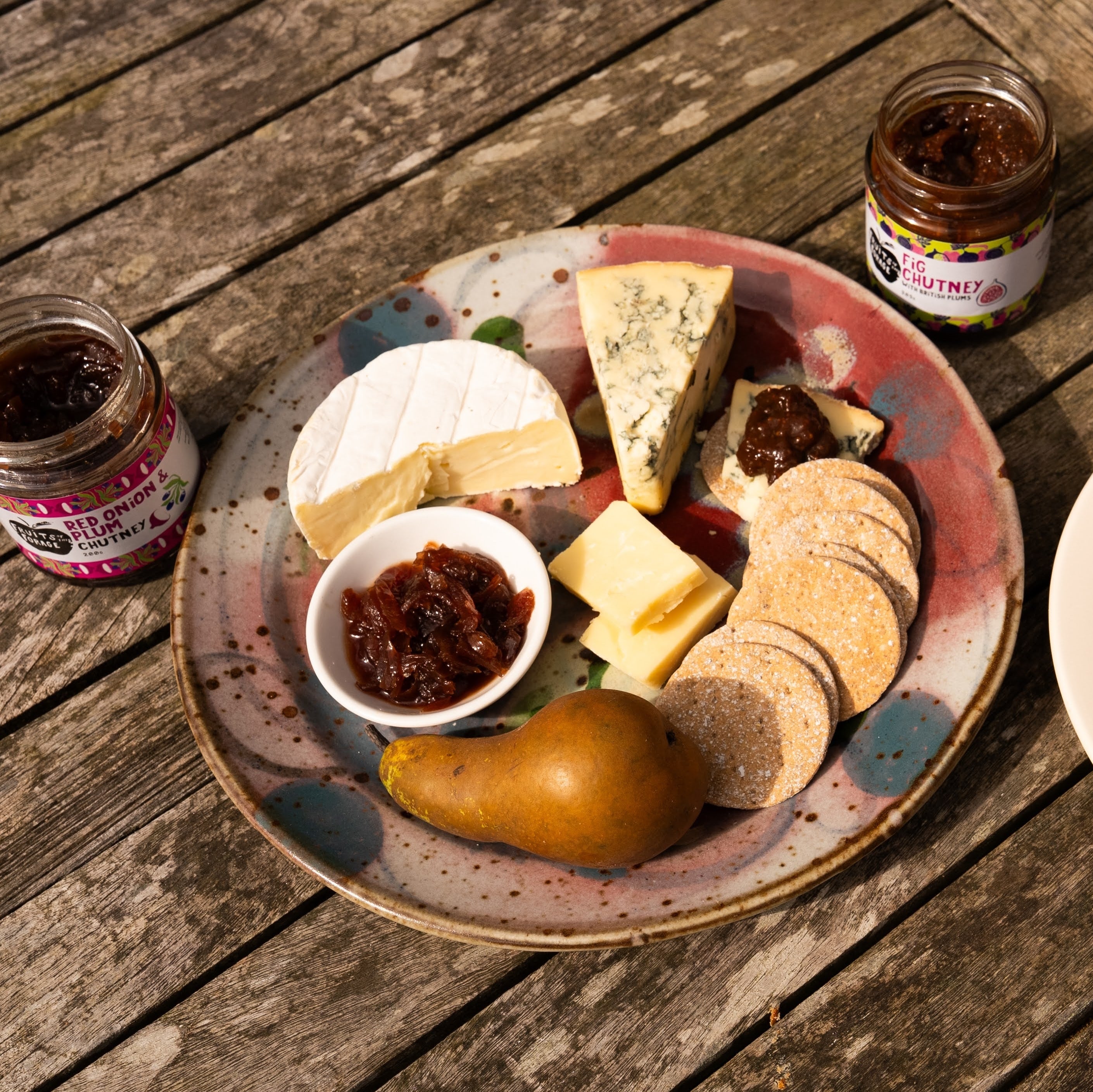 Fruits of the Forage Red Onion and Plum Chutney