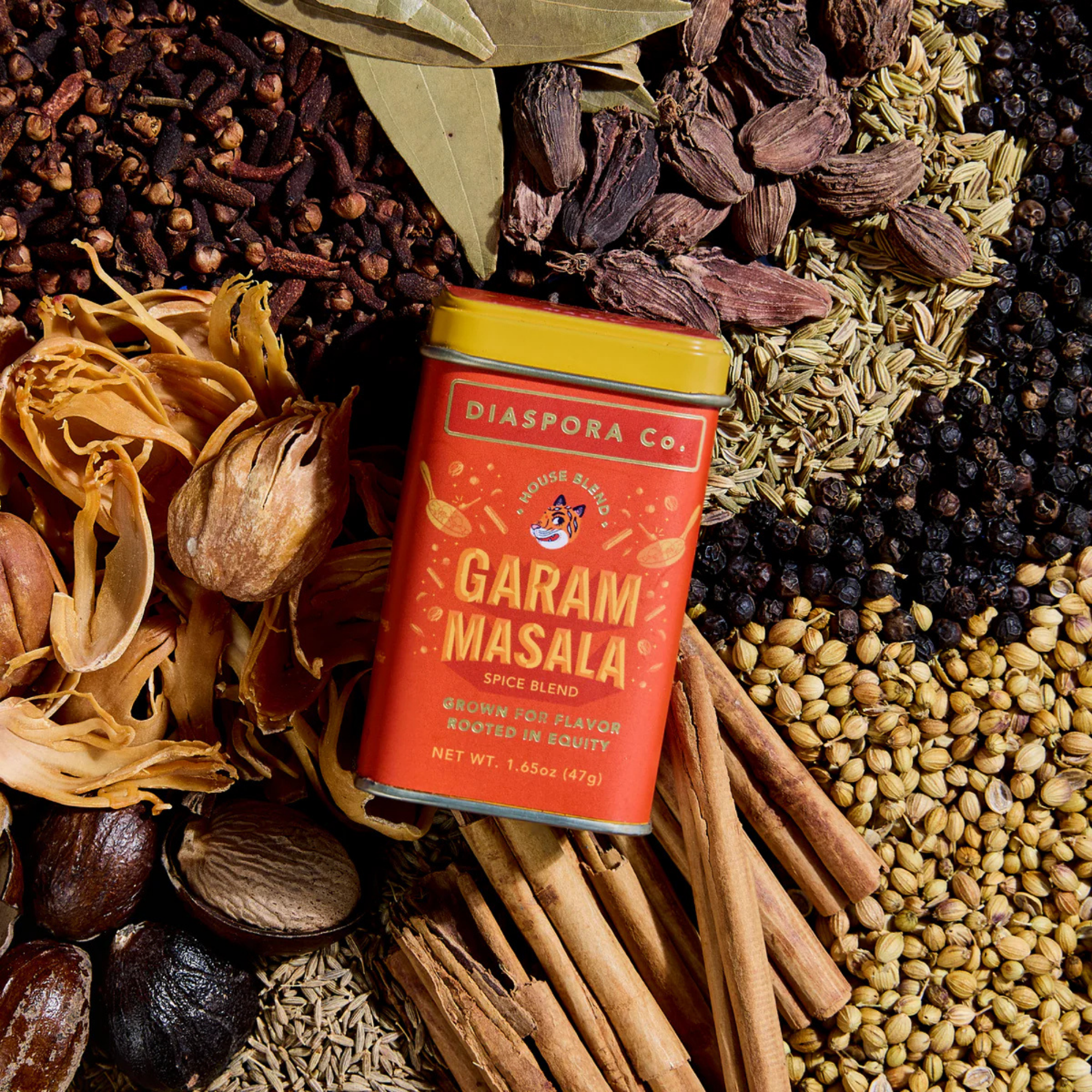 Diaspora Co Garam Masala Powder