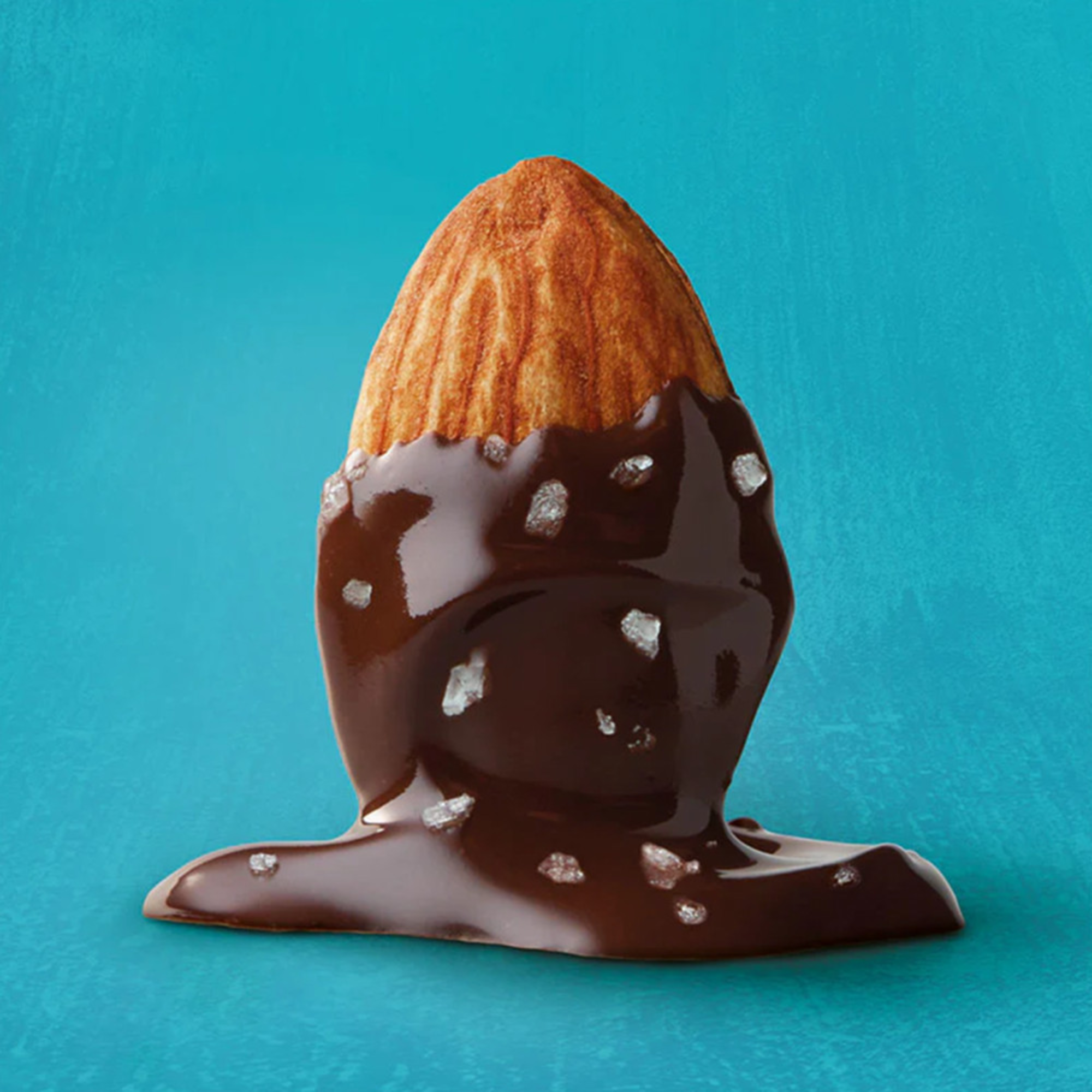 Forest Feast Salted Dark Chocolate Almonds Gift Tube