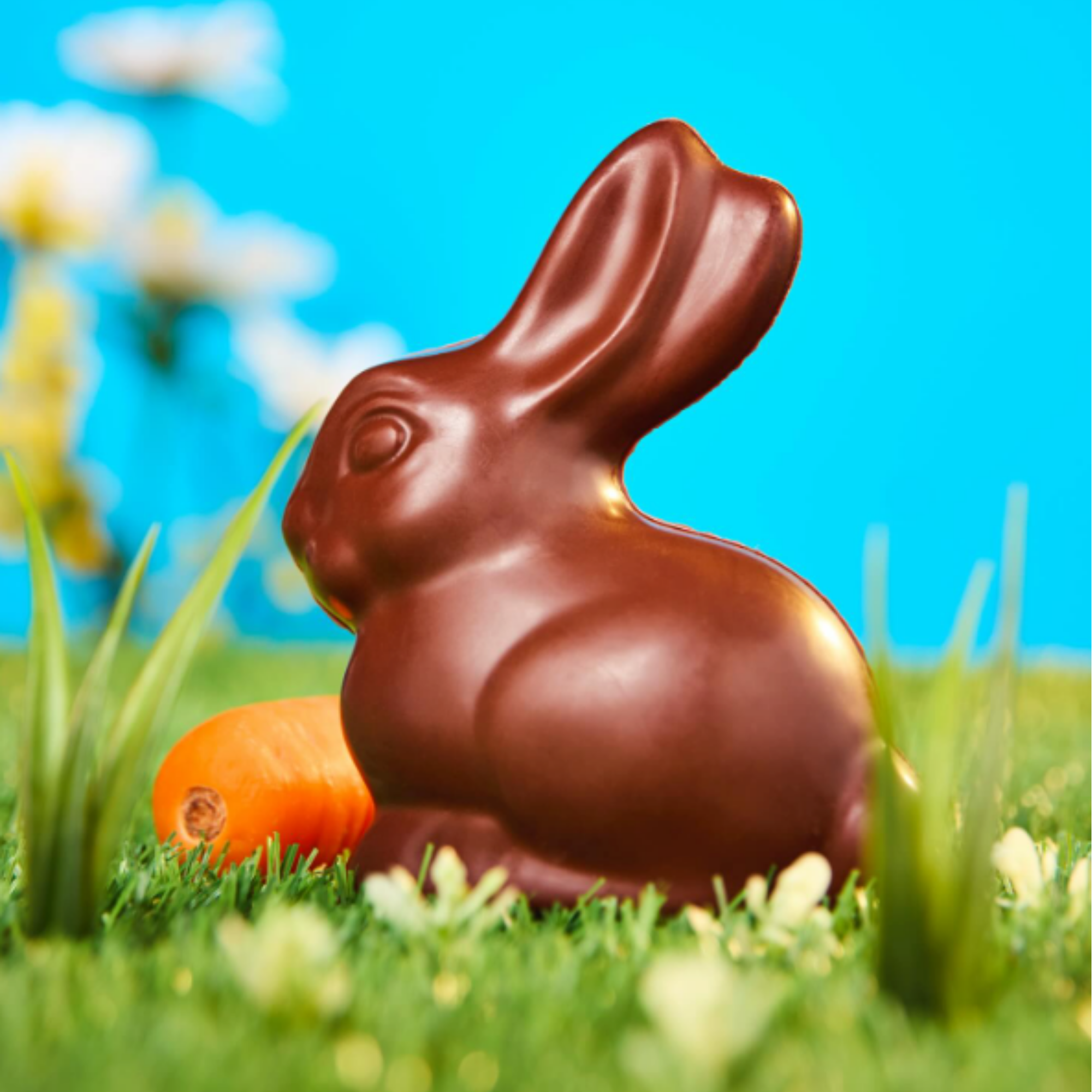 Mummy Meegz Hoppy Chocolate Bunny