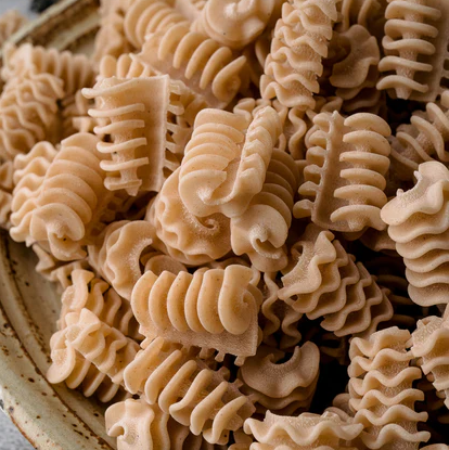 Northern Pasta Co Radiatori